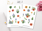 Preview: Wildblumen Sticker Set